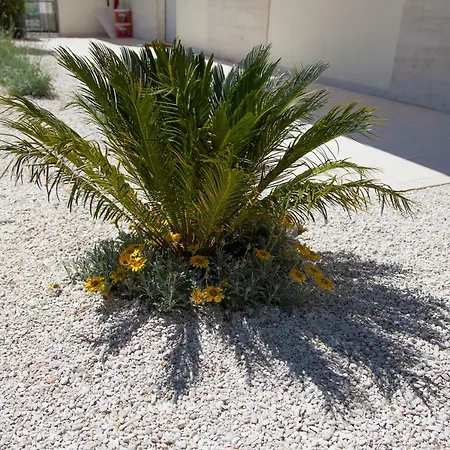 Apartmán Casa Prima Fila Mare *